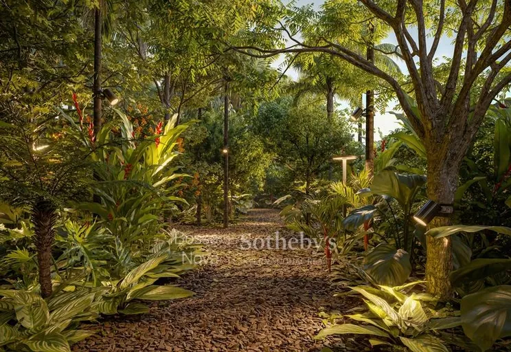 Bosque Externo - Imagem 15