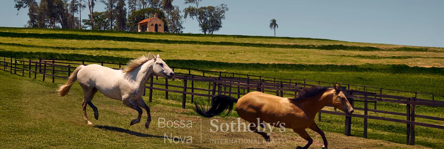 Haras - Imagem 25