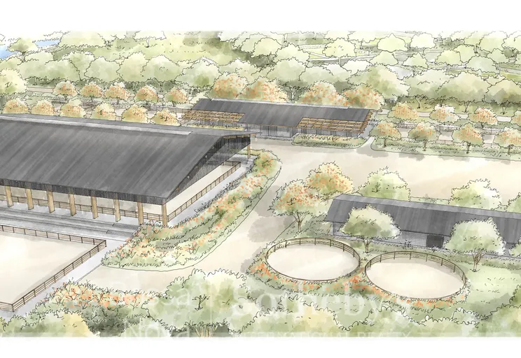 Haras - Imagem 18