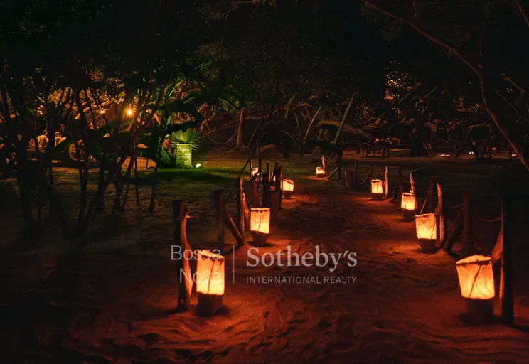 Cajueiro - Imagem 15