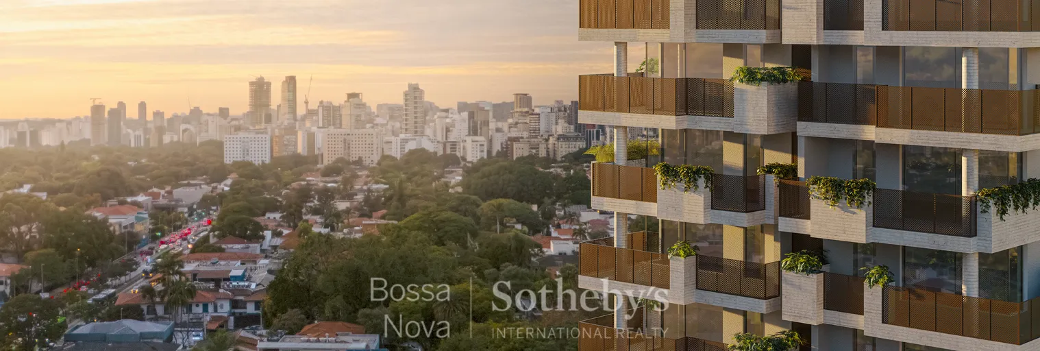 Voo de Pássaro - Imagem 13