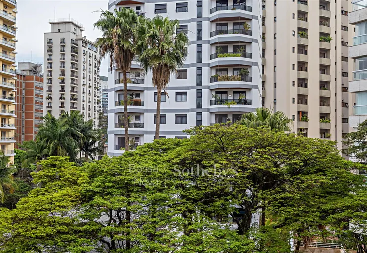 Vista - Imagem 14