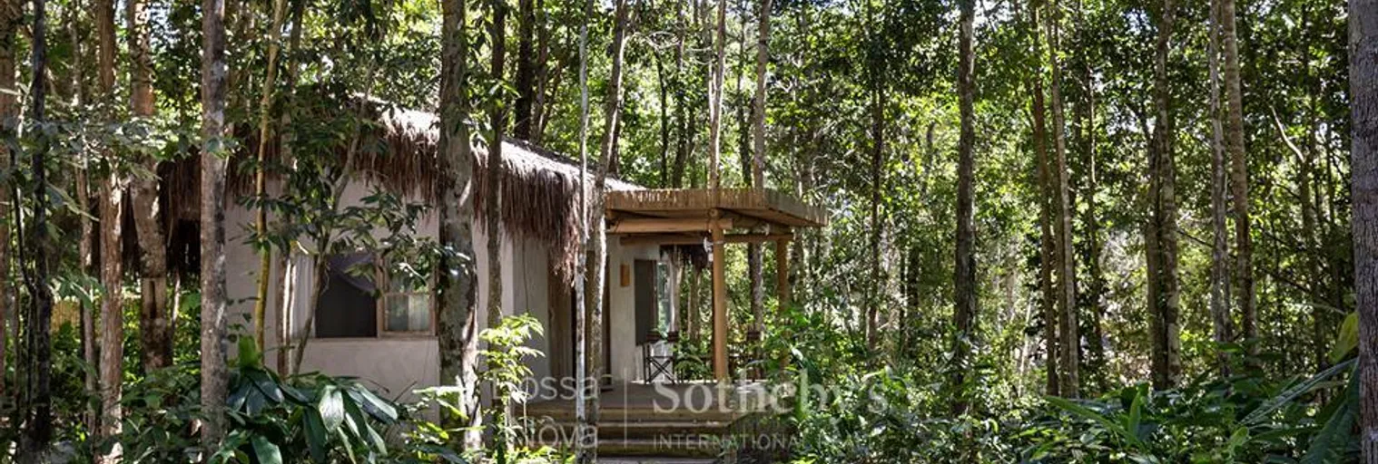 Jardim - Imagem 32