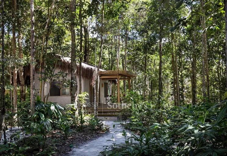 Jardim - Imagem 32