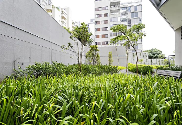 _MG_6973 - Imagem 4