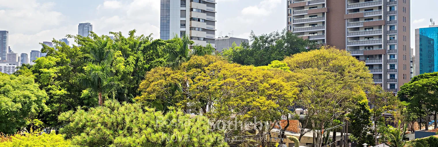 Vista - Imagem 31