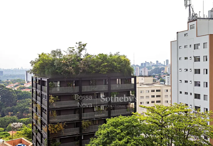Vista Panorâmica - Imagem 39