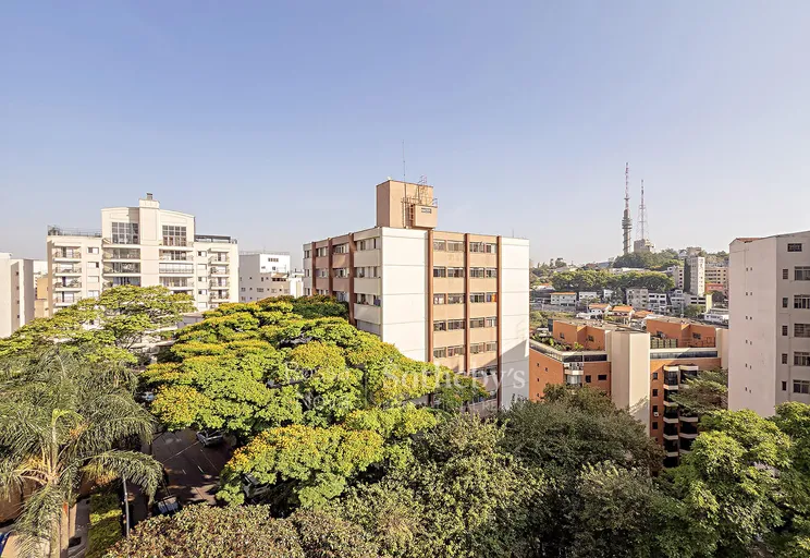 Vista - Imagem 10