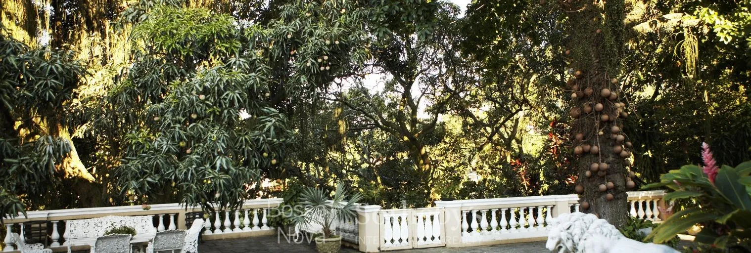 Terraço - Imagem 5