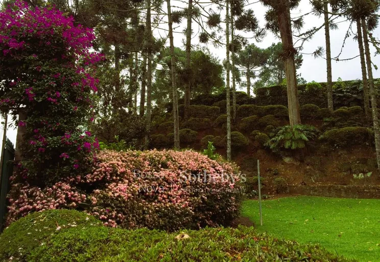 Jardim - Imagem 16