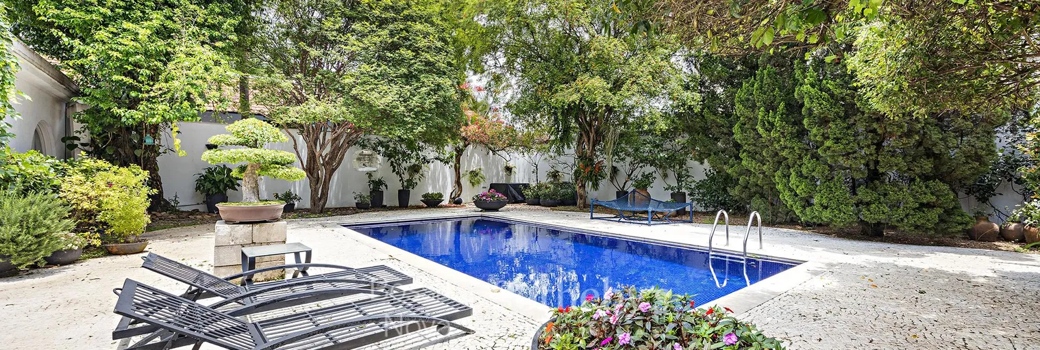 Jardim - Imagem 19
