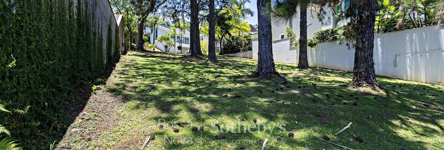 Vista - Imagem 9