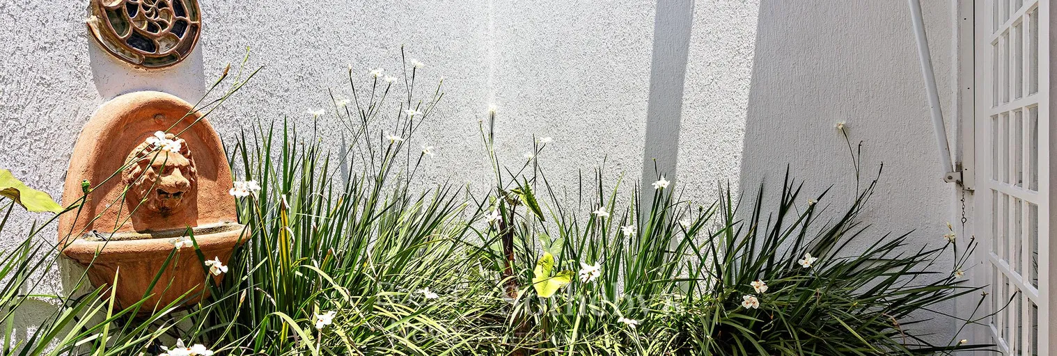 Jardim - Imagem 12