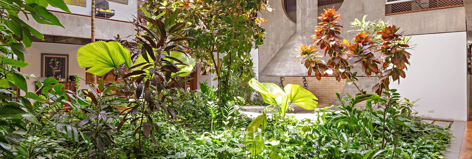Jardim de inverno - Imagem 10