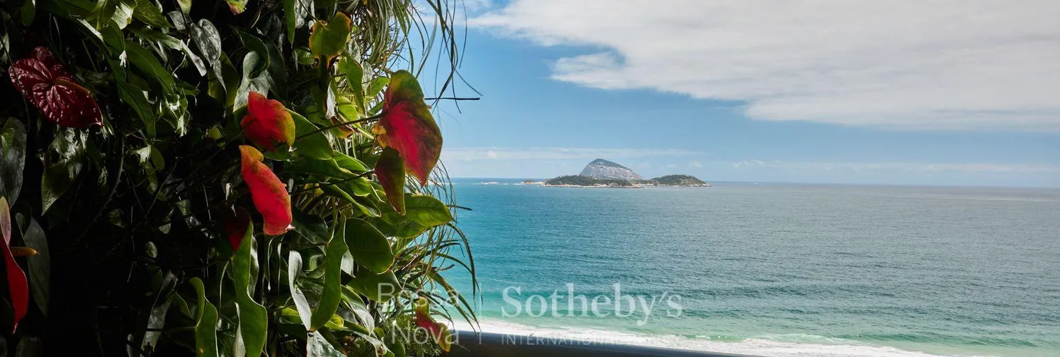 Vista - Imagem 6