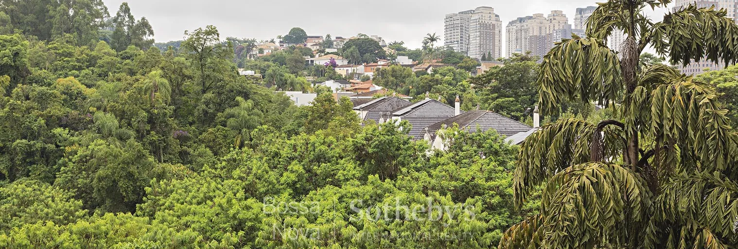 Vista - Imagem 3