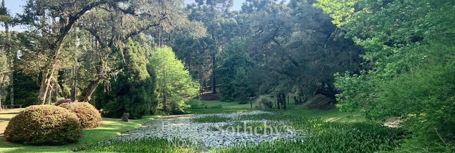 Jardim - Imagem 46
