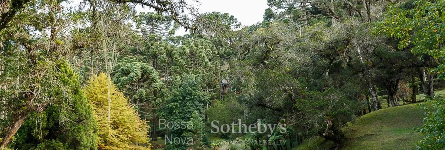 Jardim - Imagem 14
