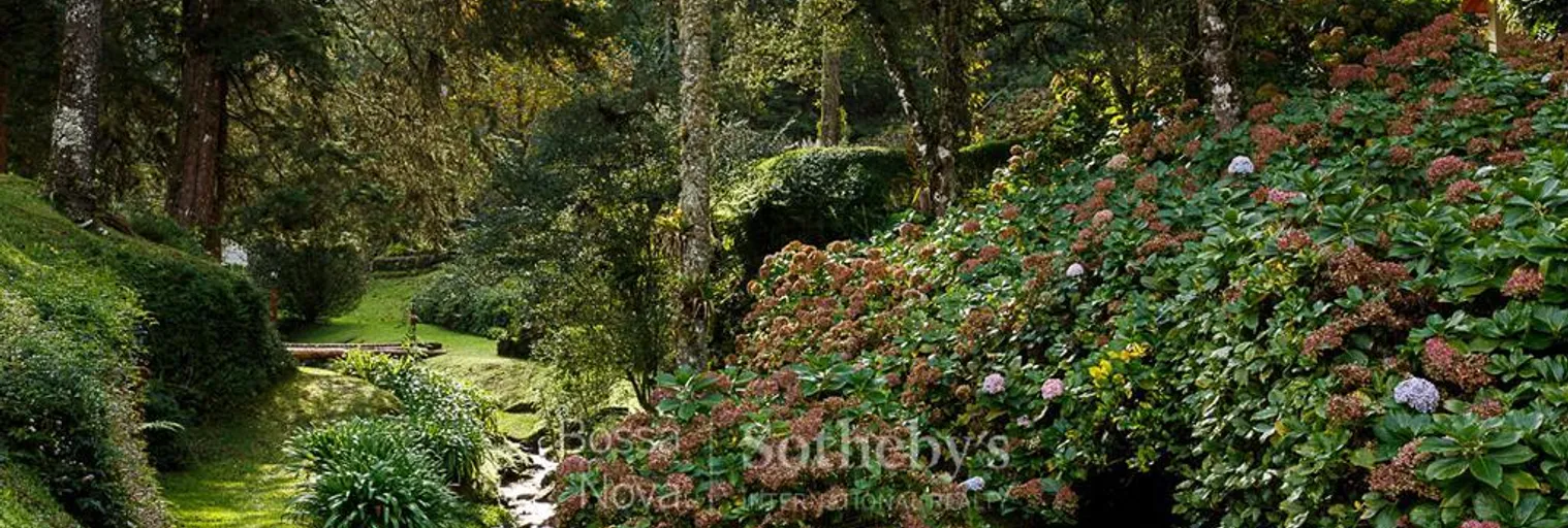 Jardim - Imagem 8