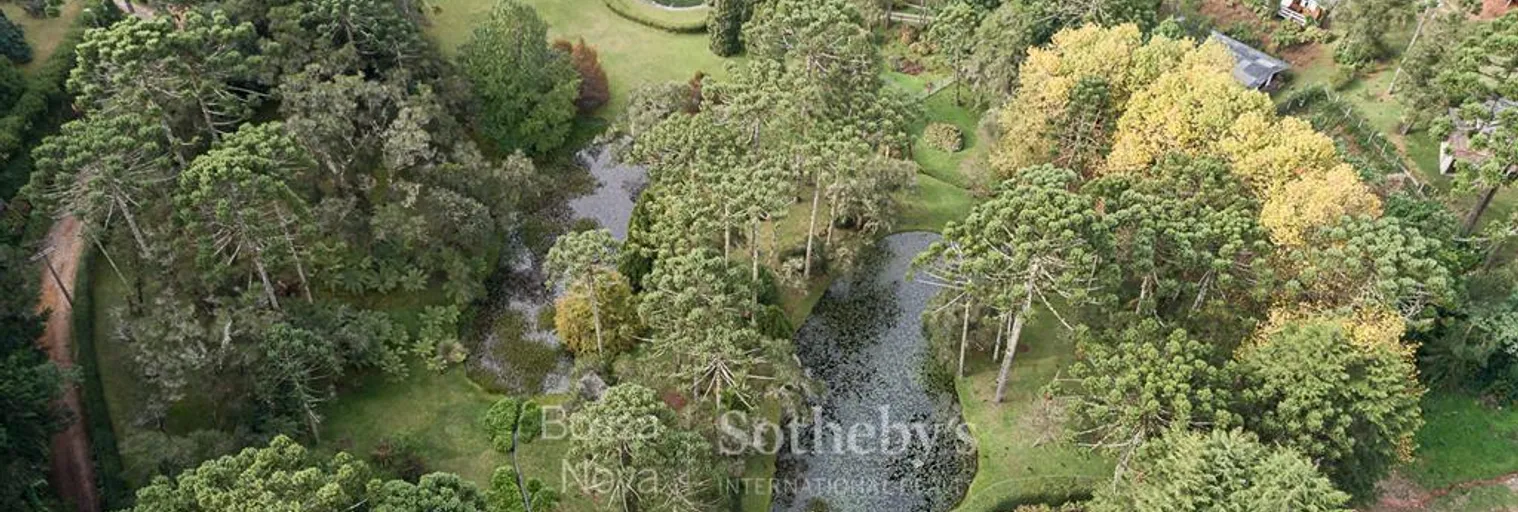 Vista - Imagem 4