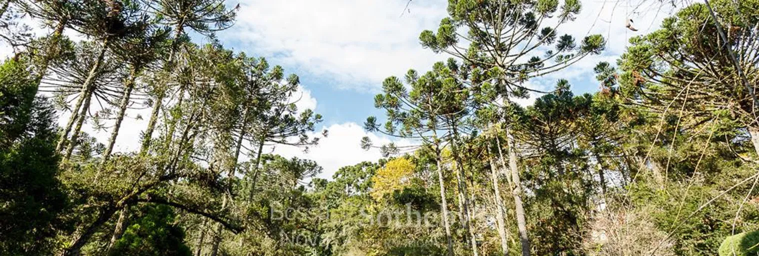 Jardim - Imagem 13