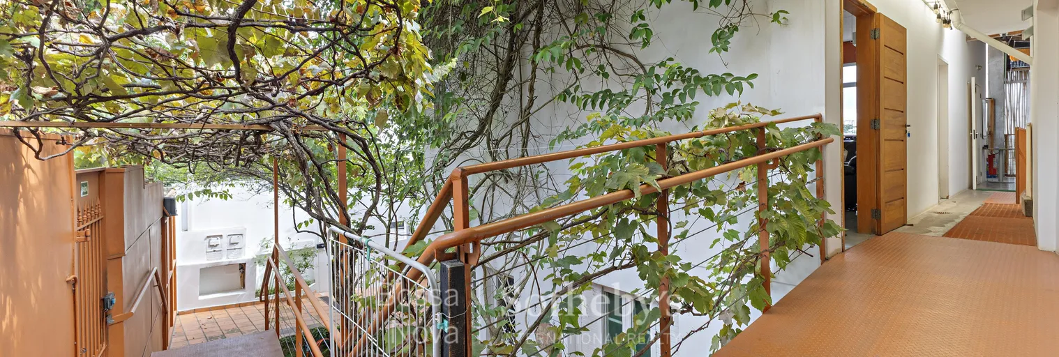 Jardim - Imagem 14