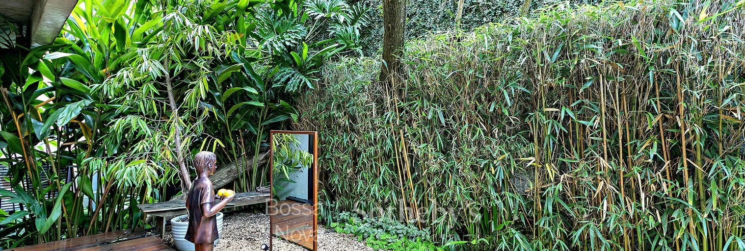 Jardim - Imagem 9