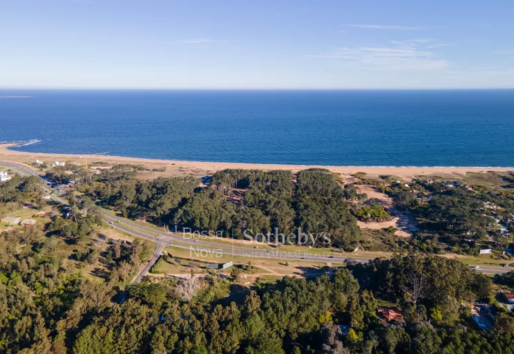 Vista - Imagem 2