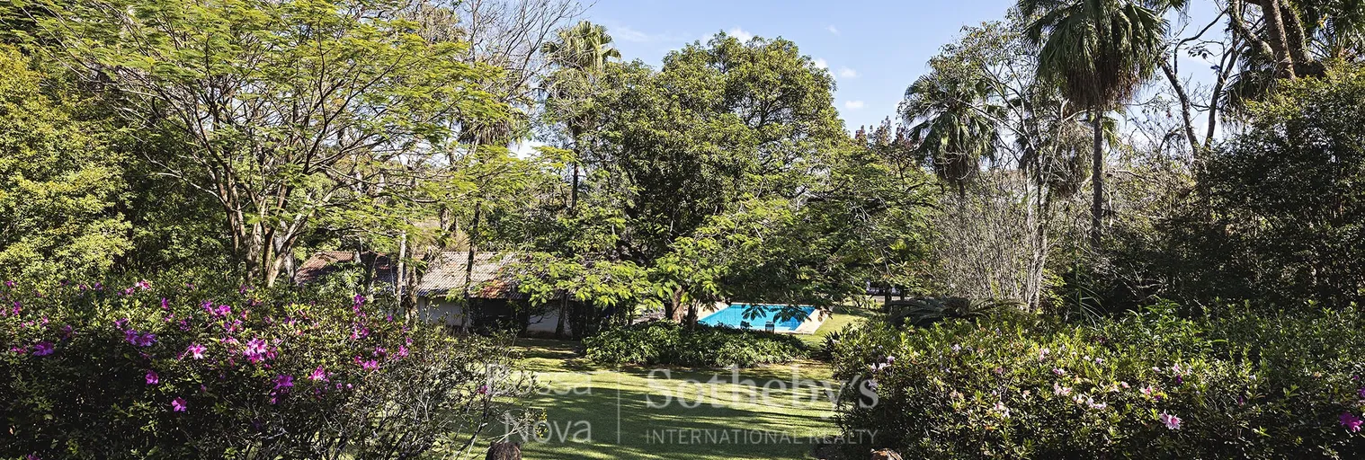 Vista - Imagem 3