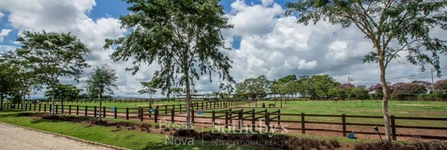 Vista - Imagem 6