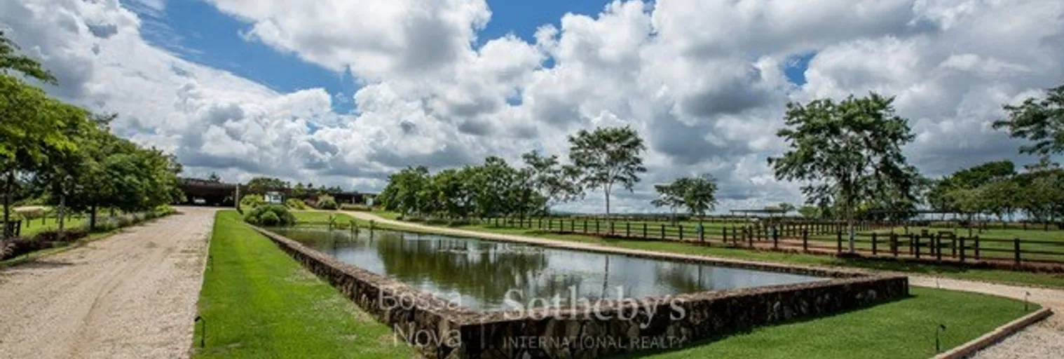 Vista - Imagem 4