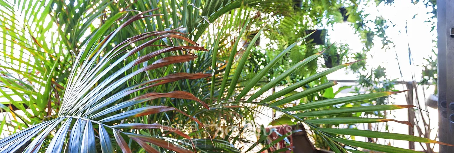 Terraço - Imagem 15