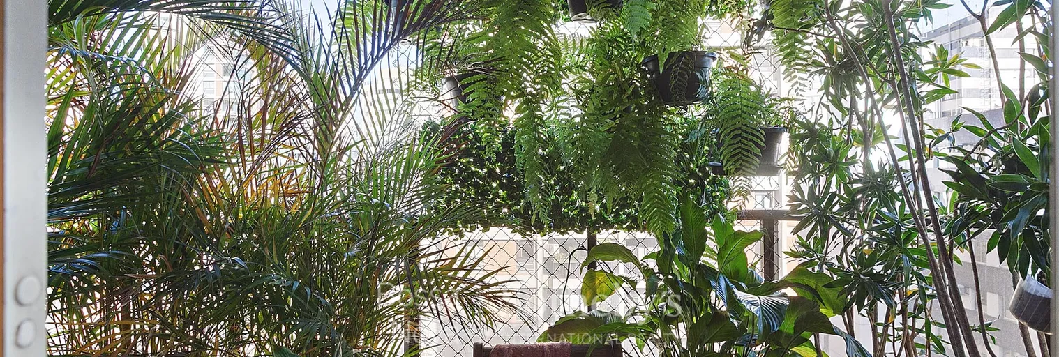 Terraço - Imagem 16