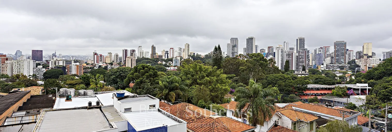 Vista - Imagem 31