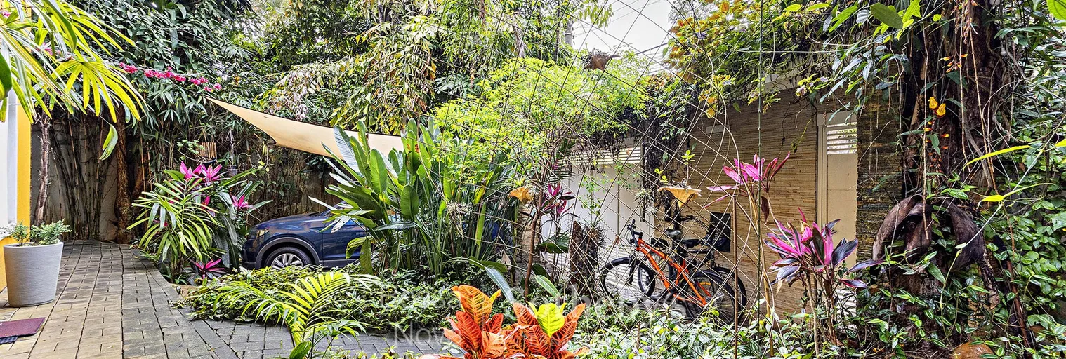 Jardim - Imagem 6