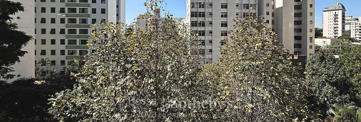 Vista - Imagem 32