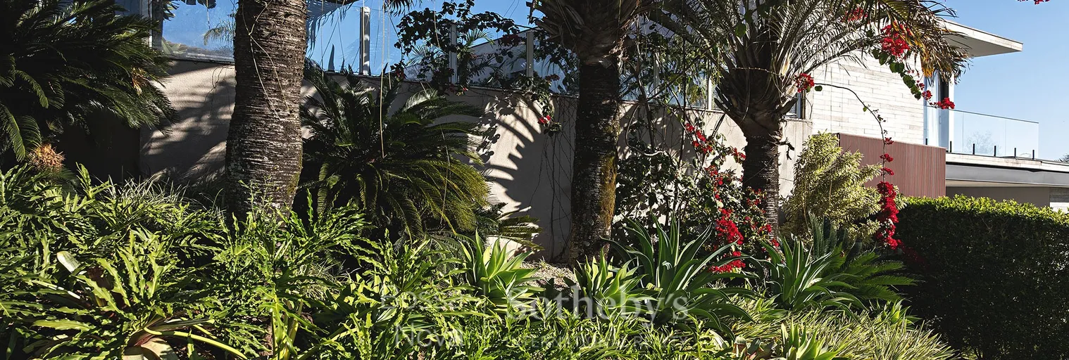 Jardim - Imagem 40