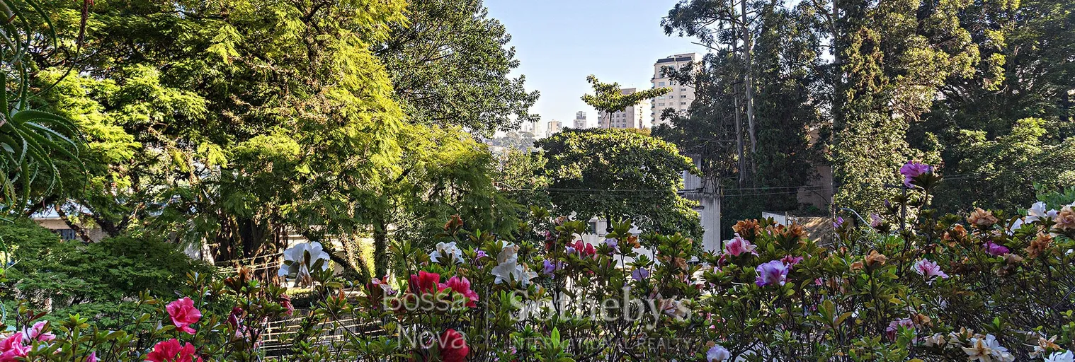 Vista - Imagem 3