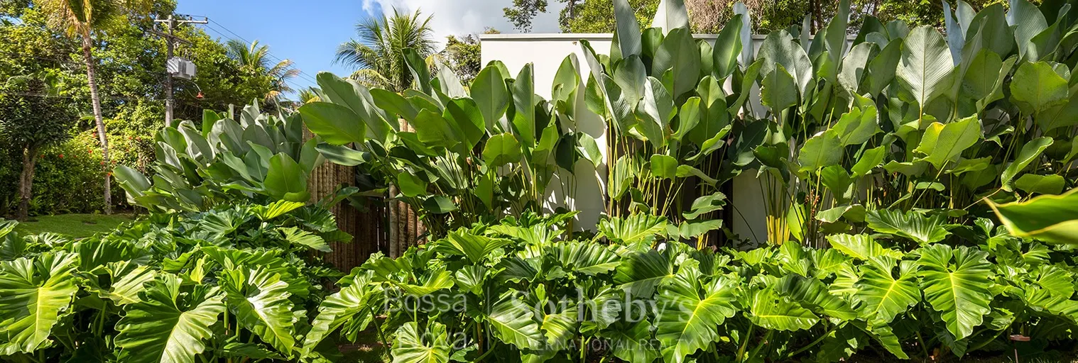 Jardim - Imagem 42