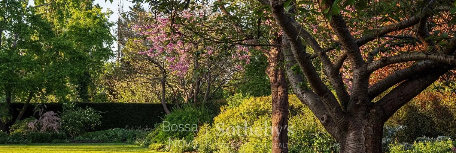Jardim - Imagem 8