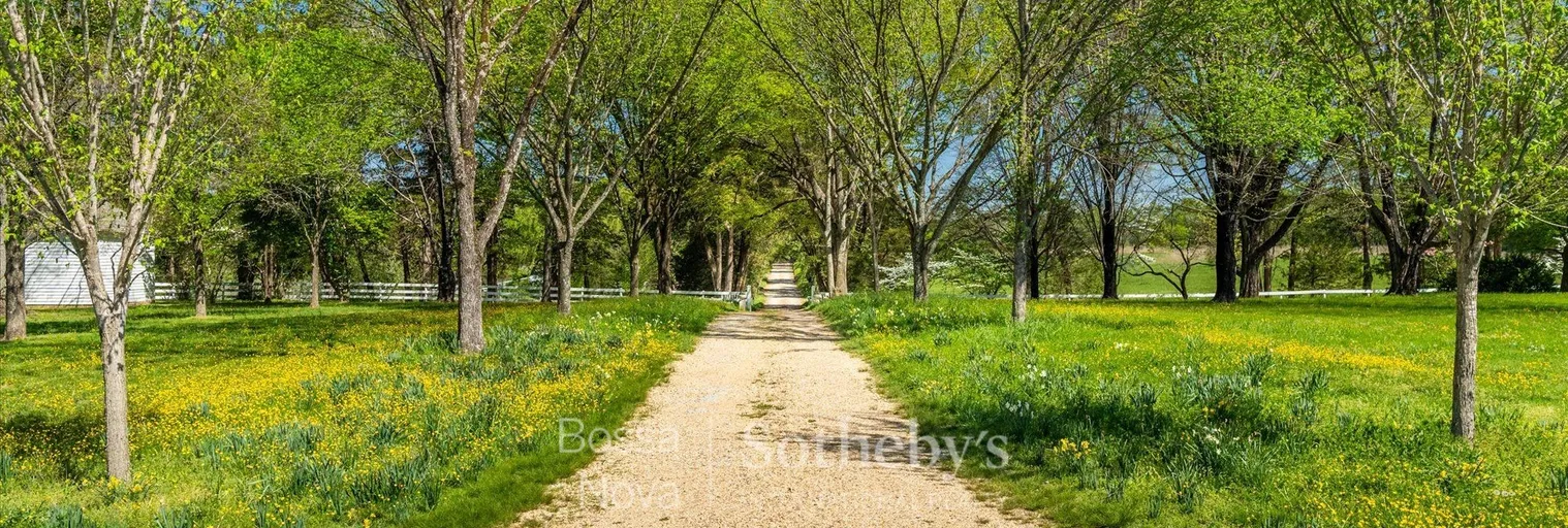 Jardim - Imagem 13