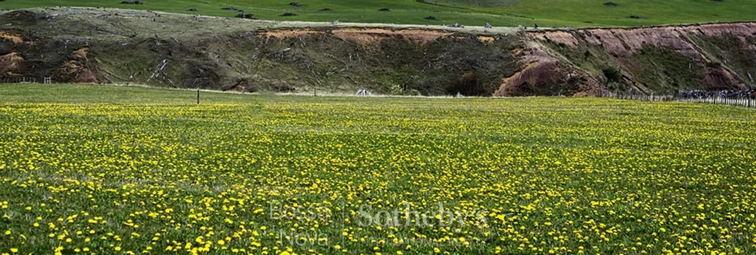 Vista - Imagem 5