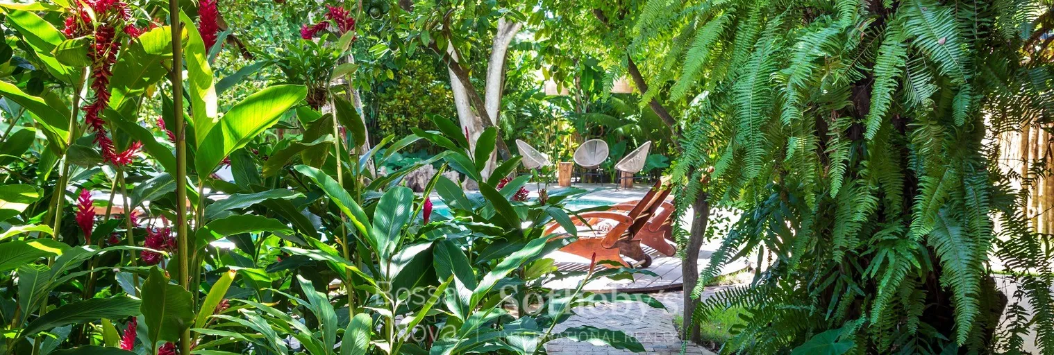 Jardim - Imagem 39