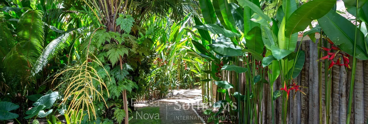 Jardim - Imagem 48