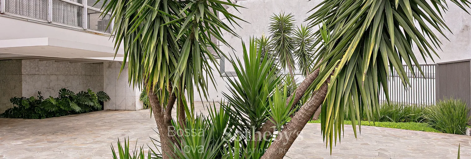 Jardim - Imagem 37
