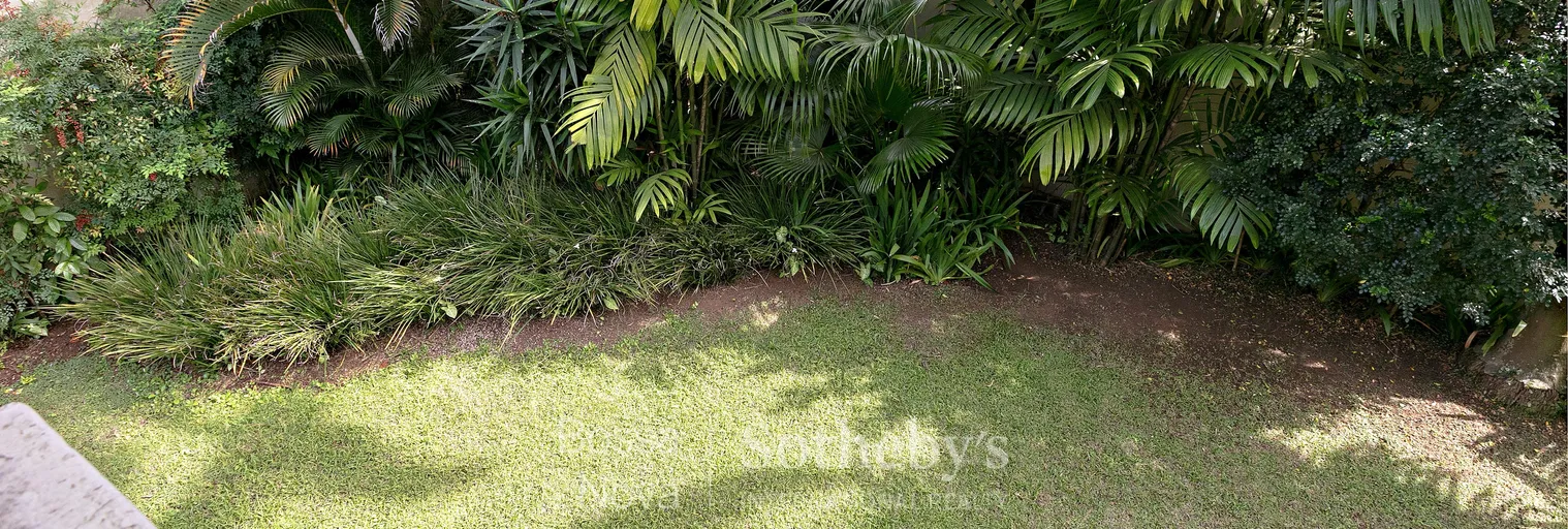 Jardim - Imagem 50