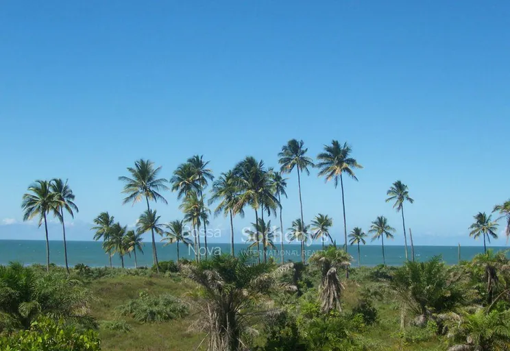 Vista Panorâmica - Imagem 7