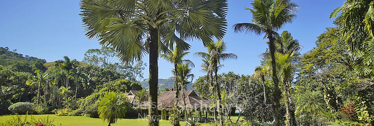 Jardim - Imagem 48