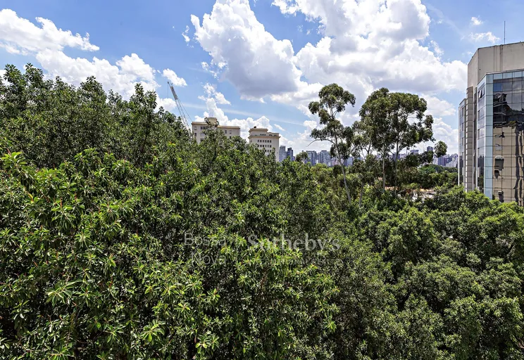 Vista - Imagem 31