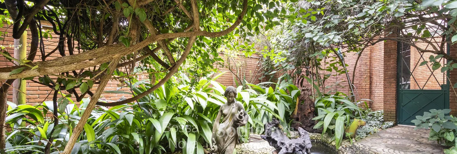 Jardim - Imagem 26